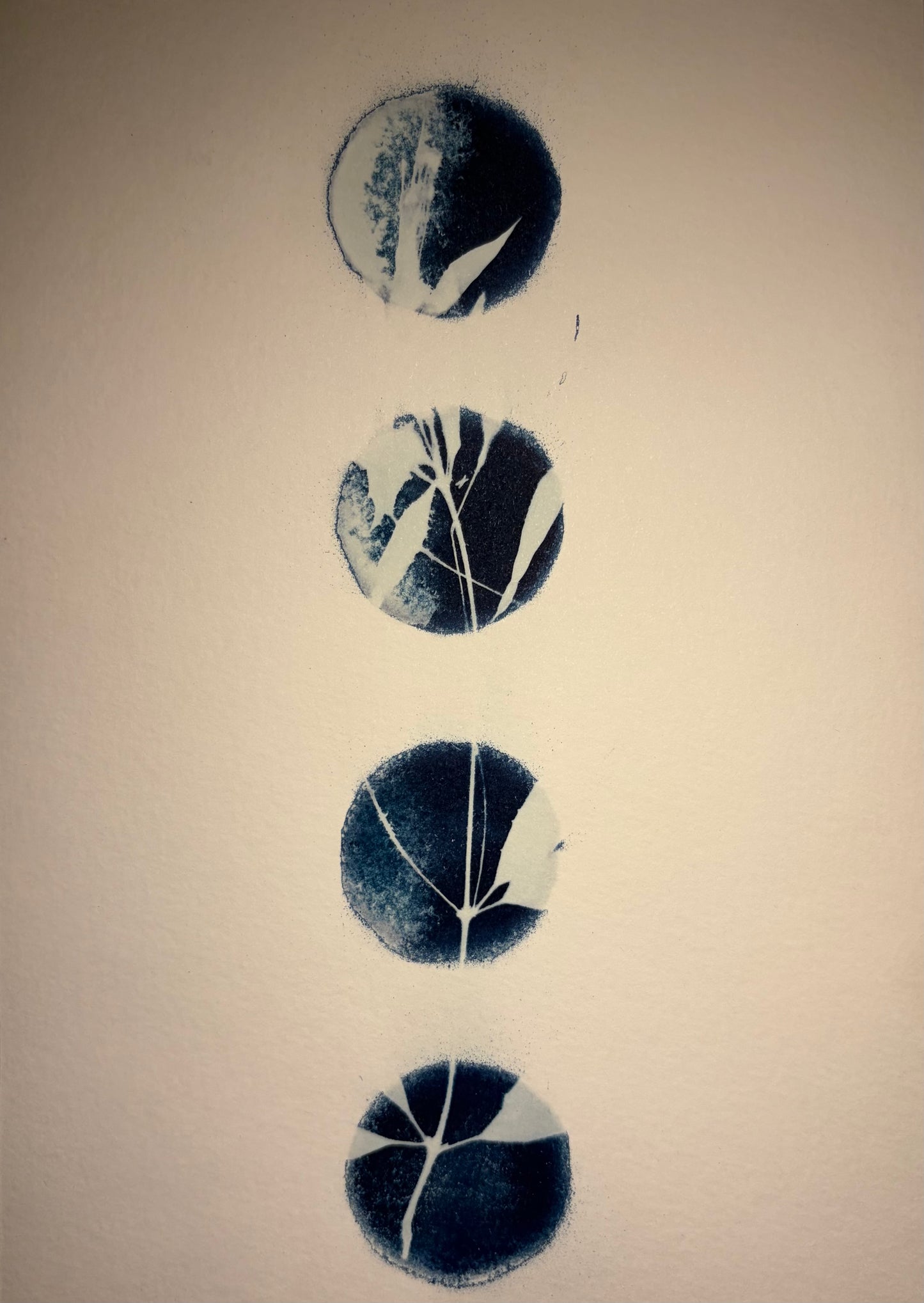 Progresión Cianotipia Botánica — Pieza Única