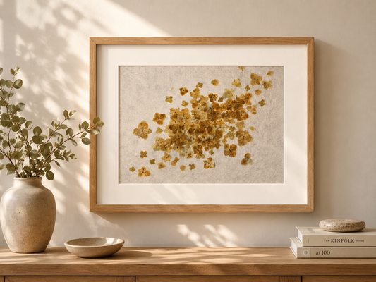 Azar / Chance — Hortensias Prensadas sobre Papel Kozo / Pressed Hydrangeas on Kozo Paper