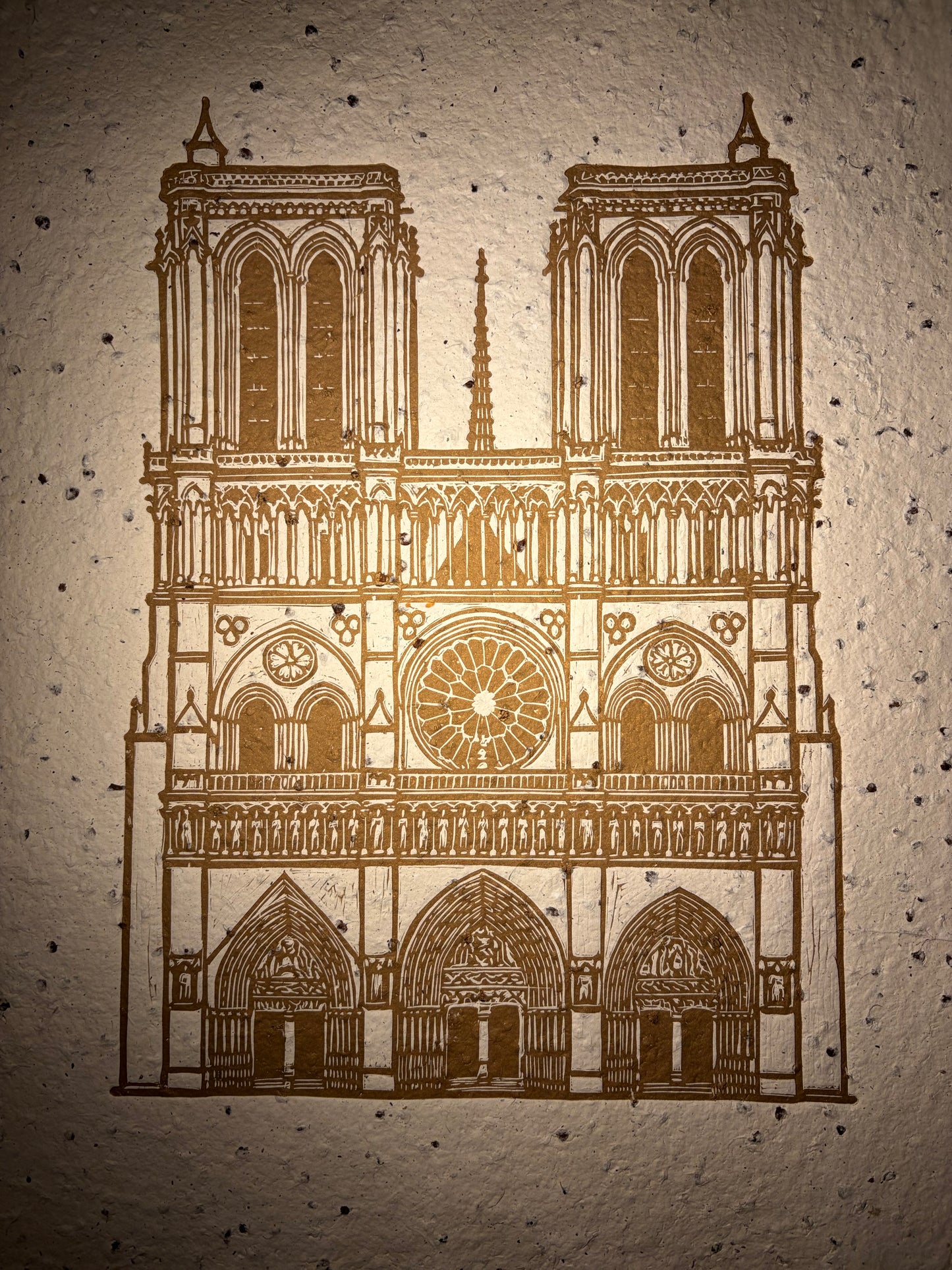 Piedra y Semilla — Notre Dame